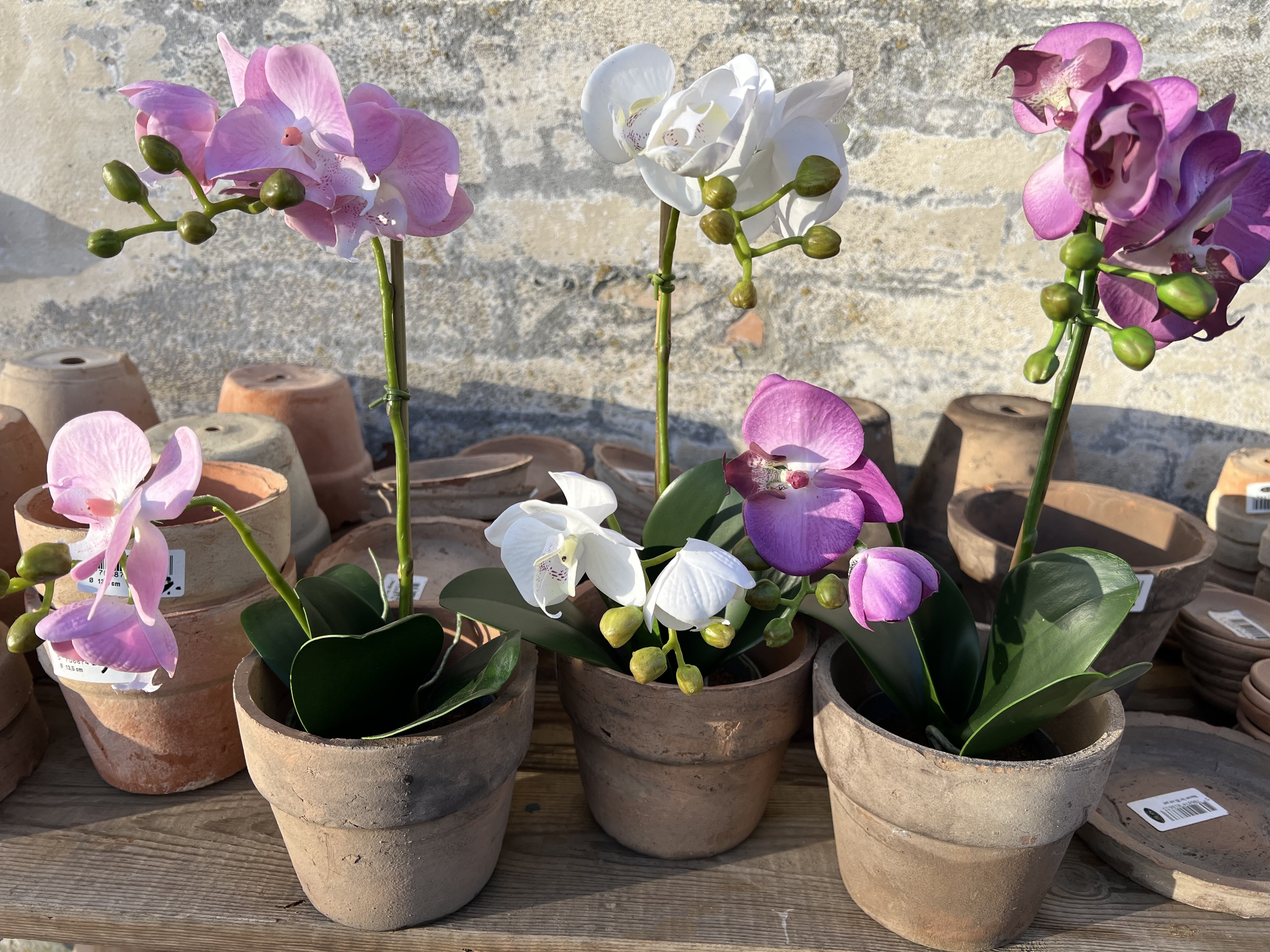 Mr Plant, Kunstig orkid�, Phalaenopsis, H45 cm