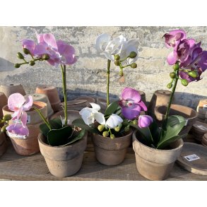 Mr Plant, Kunstig orkid�, Phalaenopsis, H45 cm