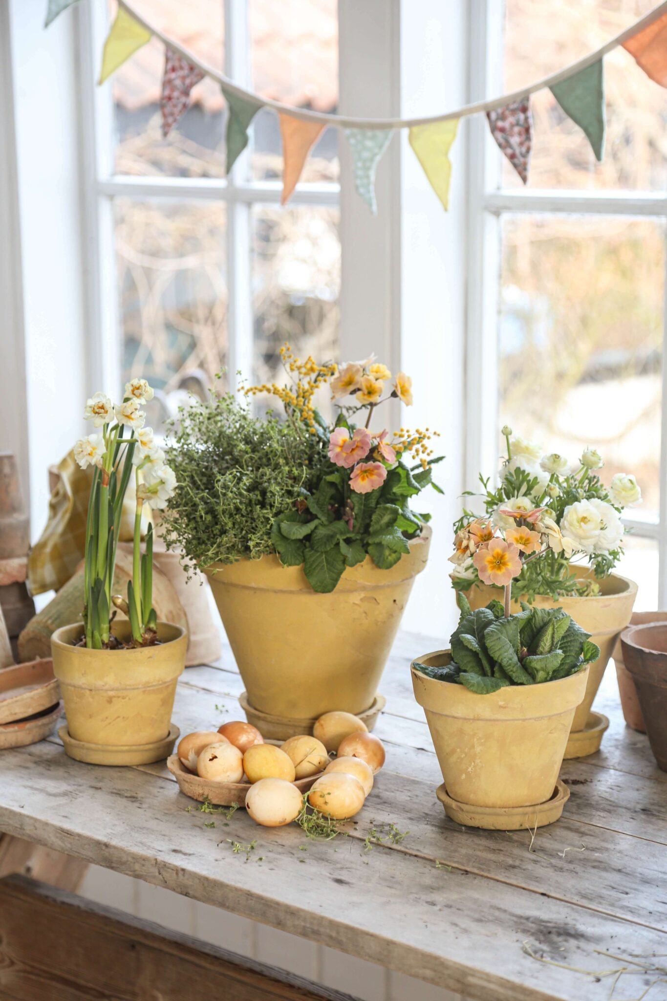 POT OL�, Potte, La Plage, Yellow