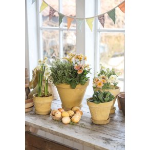 POT OL�, Potte, La Plage, Yellow