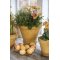POT OL�, Potte, La Plage, Yellow