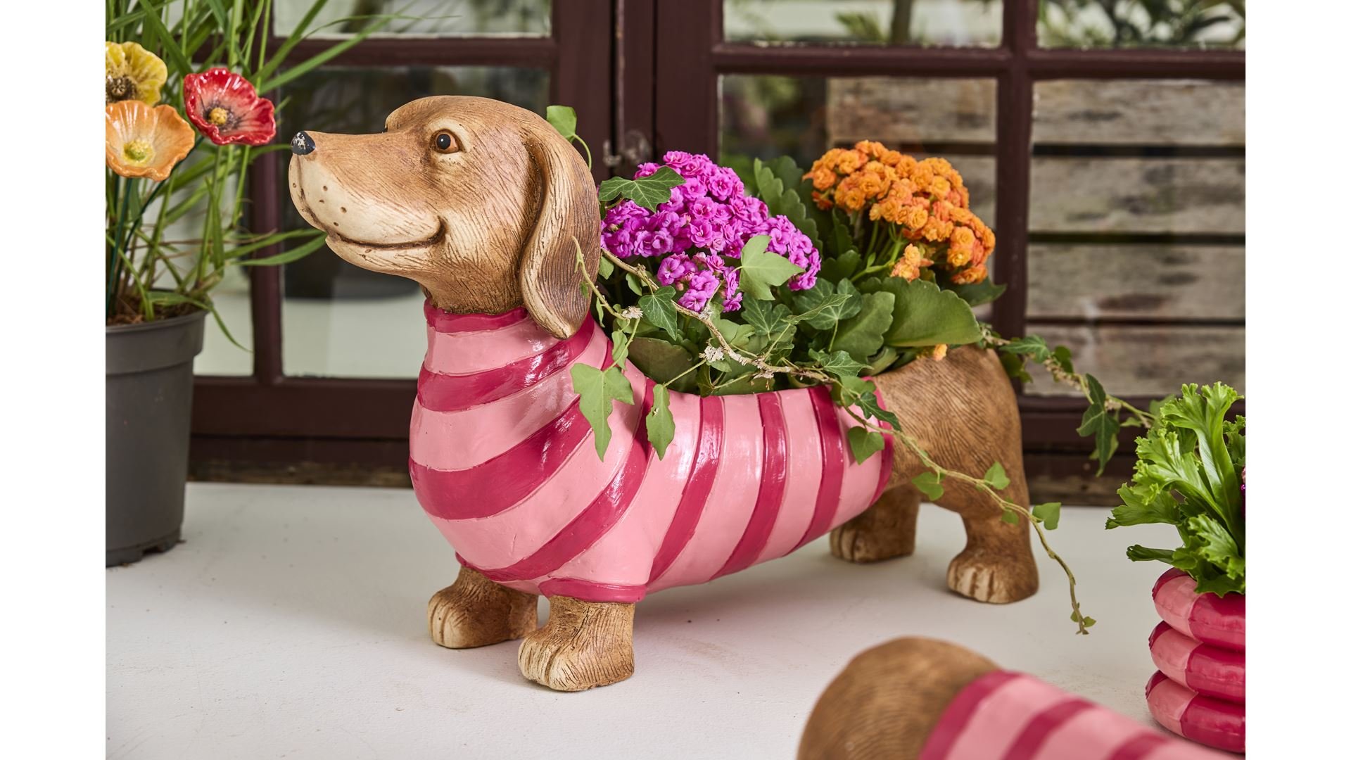 La Vida, Hund med badering, skjuler, L55 cm