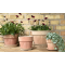 POT OL�, Potte, New Generation Retro