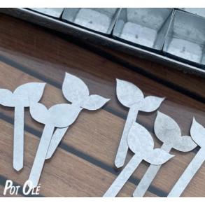 POT OL�, W.E.T, Planteskilt