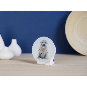 Relaxound, Oceanbox, Limited Edition, efterr, Baby Seal