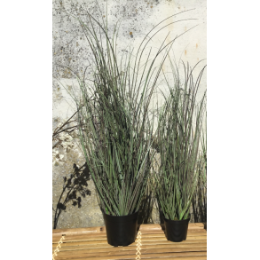 DEKO FLORALE, Kunstig grs i potte