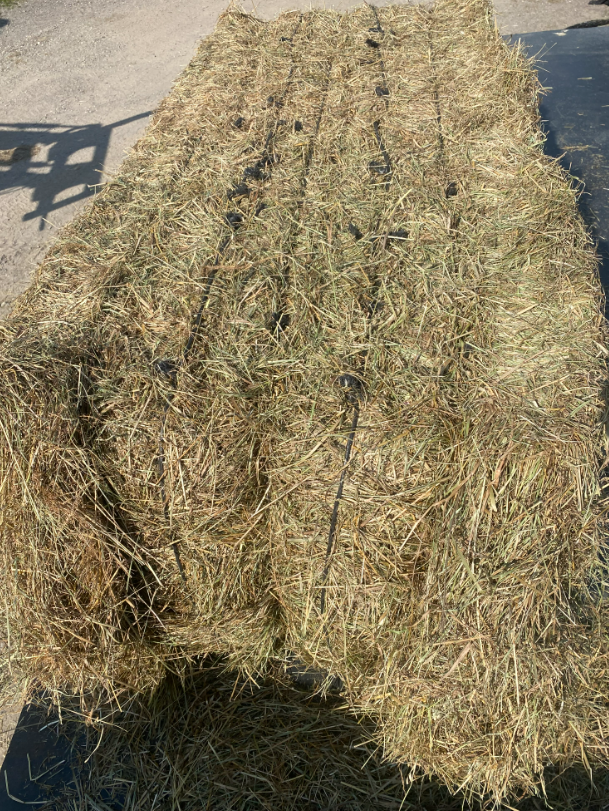 H� i delbar balle, 200 kg. (70 cm h�j), �rgang 2026