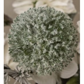 La Vida, Lgplante, frosted, grn