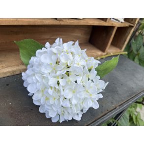 DEKO FLORALE, Kunstig hortensia, 44 cm, hvid