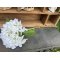 DEKO FLORALE, Kunstig hortensia, 44 cm, hvid
