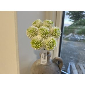 DEKO FLORALE, Dahlia, 7 stilke, 30 cm, cream