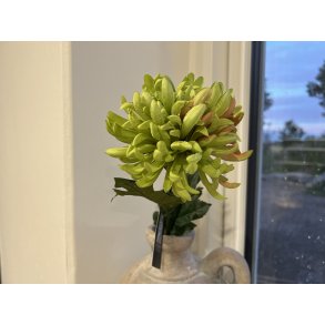 DEKO FLORALE, Krysantemum gren, 43 cm, grn