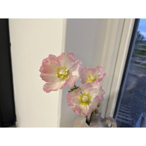 DEKO FLORALE, Kunstig valmuegren, 71 cm, lilla