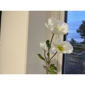 DEKO FLORALE, Kunstig valmuegren, 71 cm, hvid