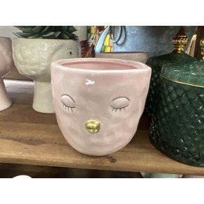 Speedtsberg, Skjuler med nb, rosa