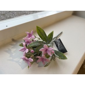 DEKO FLORALE, Jasmin blomst, 25 cm, Lyserd
