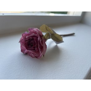 DEKO FLORALE, Rosengren, 26cm, mauve