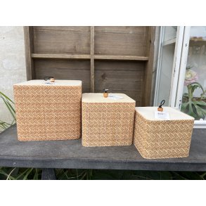 Speedtsberg, Bambus sker st med 3 stk., brun