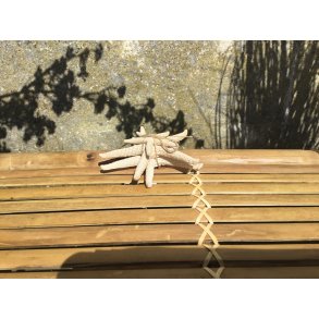 Speedtsberg, Sstjerne st med 3 stk. 