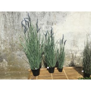 Speedtsberg, Kunstig lavendel i potte i plastik