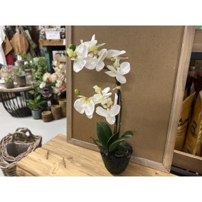 DEKO FLORALE, Kunstig orkid, 32 cm.