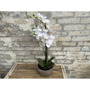 DEKO FLORALE, Kunstig orkid, 63 cm.