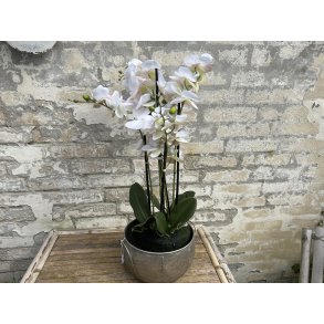 DEKO FLORALE, Kunstig orkid, 70 cm.