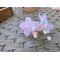 Mr Plant, Orkidegren, 28 cm, lyser�d