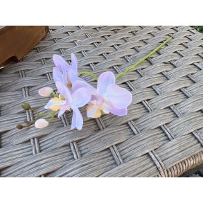 Mr Plant, Orkidegren, 28 cm, lyser�d