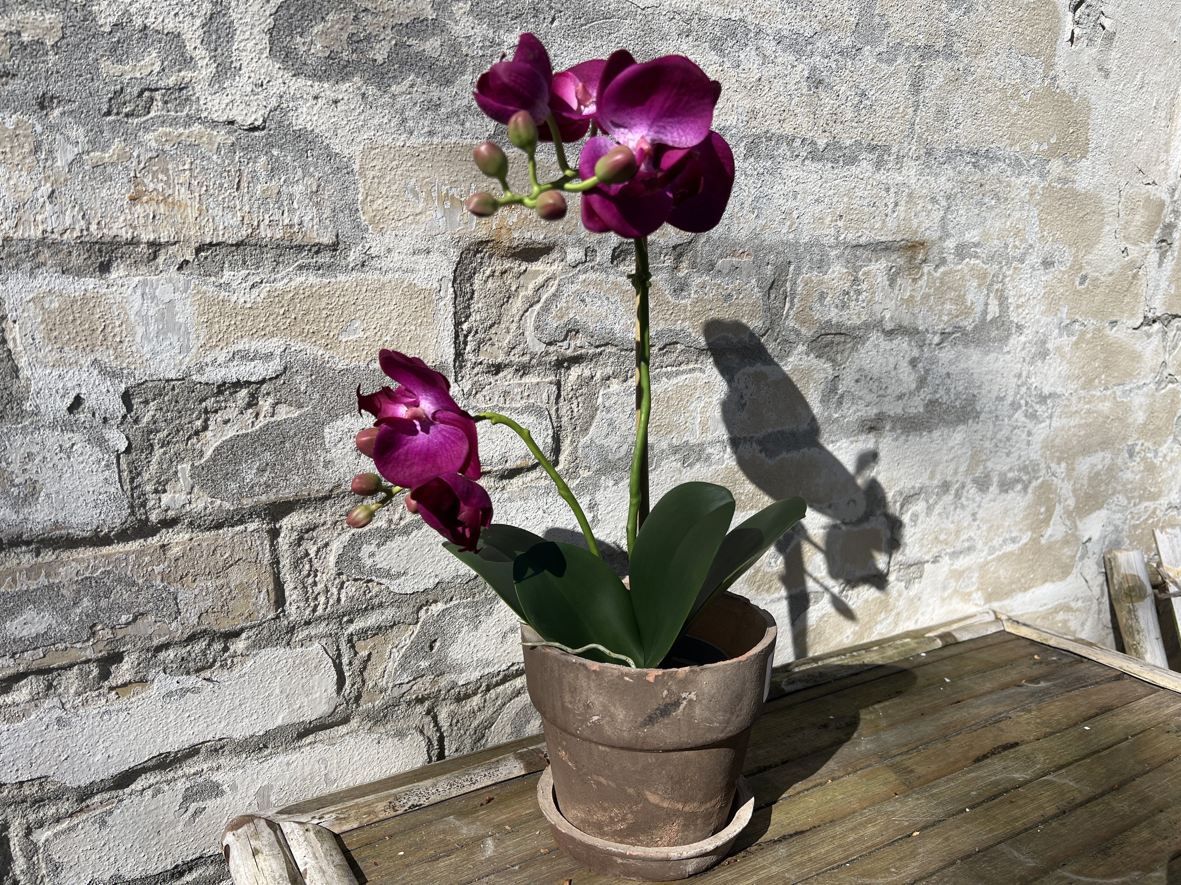 Mr Plant, Kunstig orkid�, Phalaenopsis, H45 cm, M�rk lilla