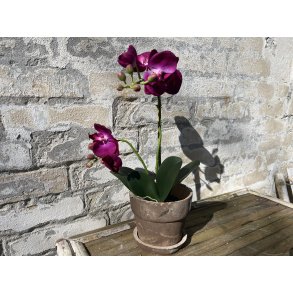 Mr Plant, Kunstig orkid�, Phalaenopsis, H45 cm, M�rk lilla
