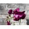 Mr Plant, Kunstig orkid�, Phalaenopsis, H45 cm, M�rk lilla