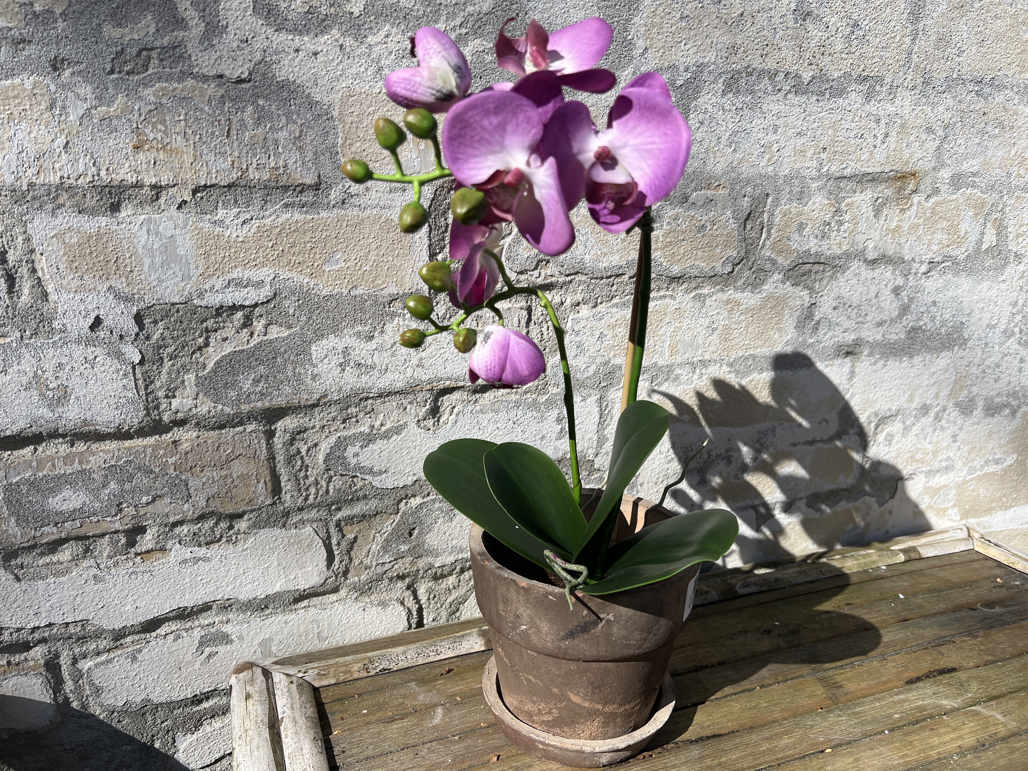 Mr Plant, Kunstig orkid�, Phalaenopsis, H45 cm, Lys lilla