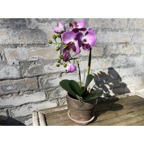 Mr Plant, Kunstig orkid�, Phalaenopsis, H45 cm, Lys lilla