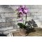 Mr Plant, Kunstig orkid�, Phalaenopsis, H45 cm, Lys lilla