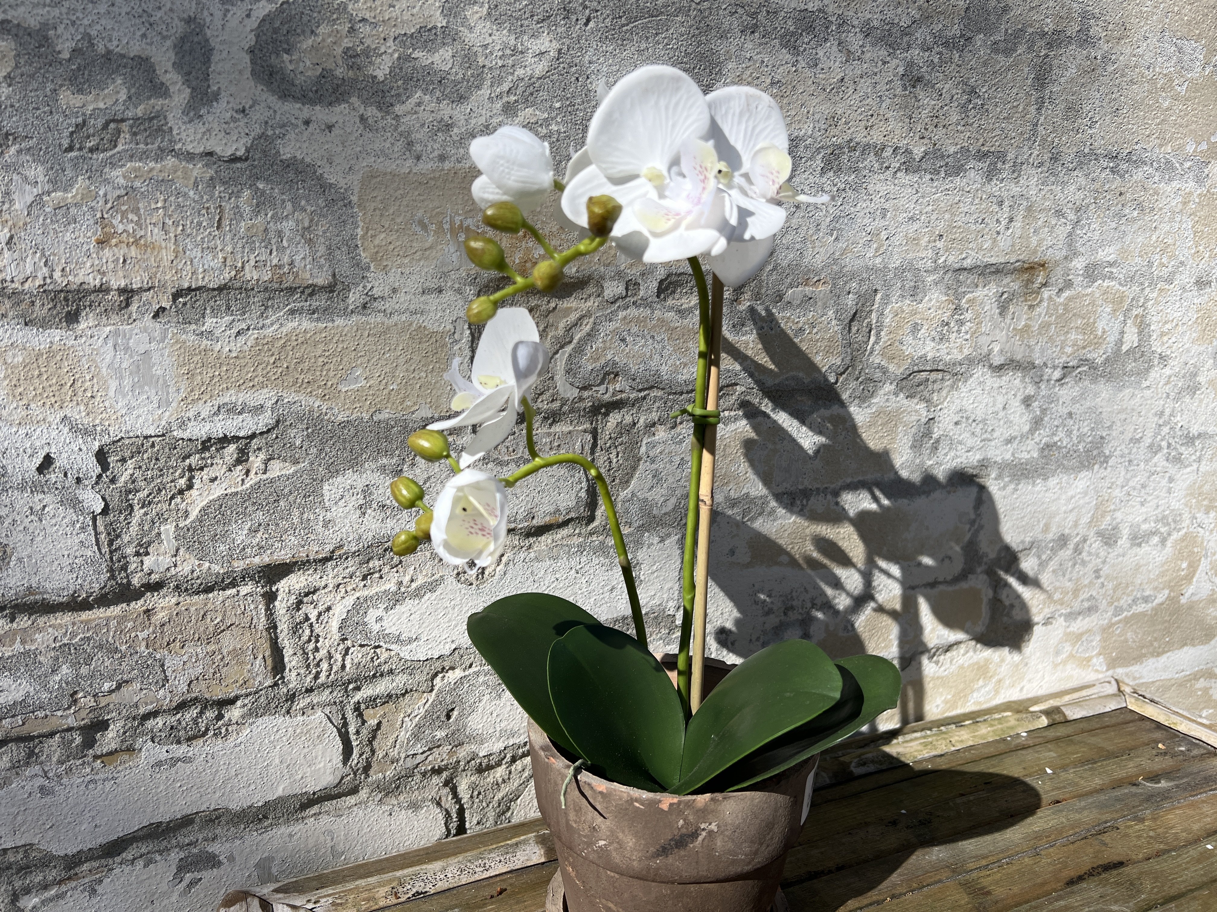 Mr Plant, Kunstig orkid�, Phalaenopsis, H45 cm, Hvid