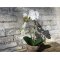 Mr Plant, Kunstig orkid�, Phalaenopsis, H45 cm, Hvid