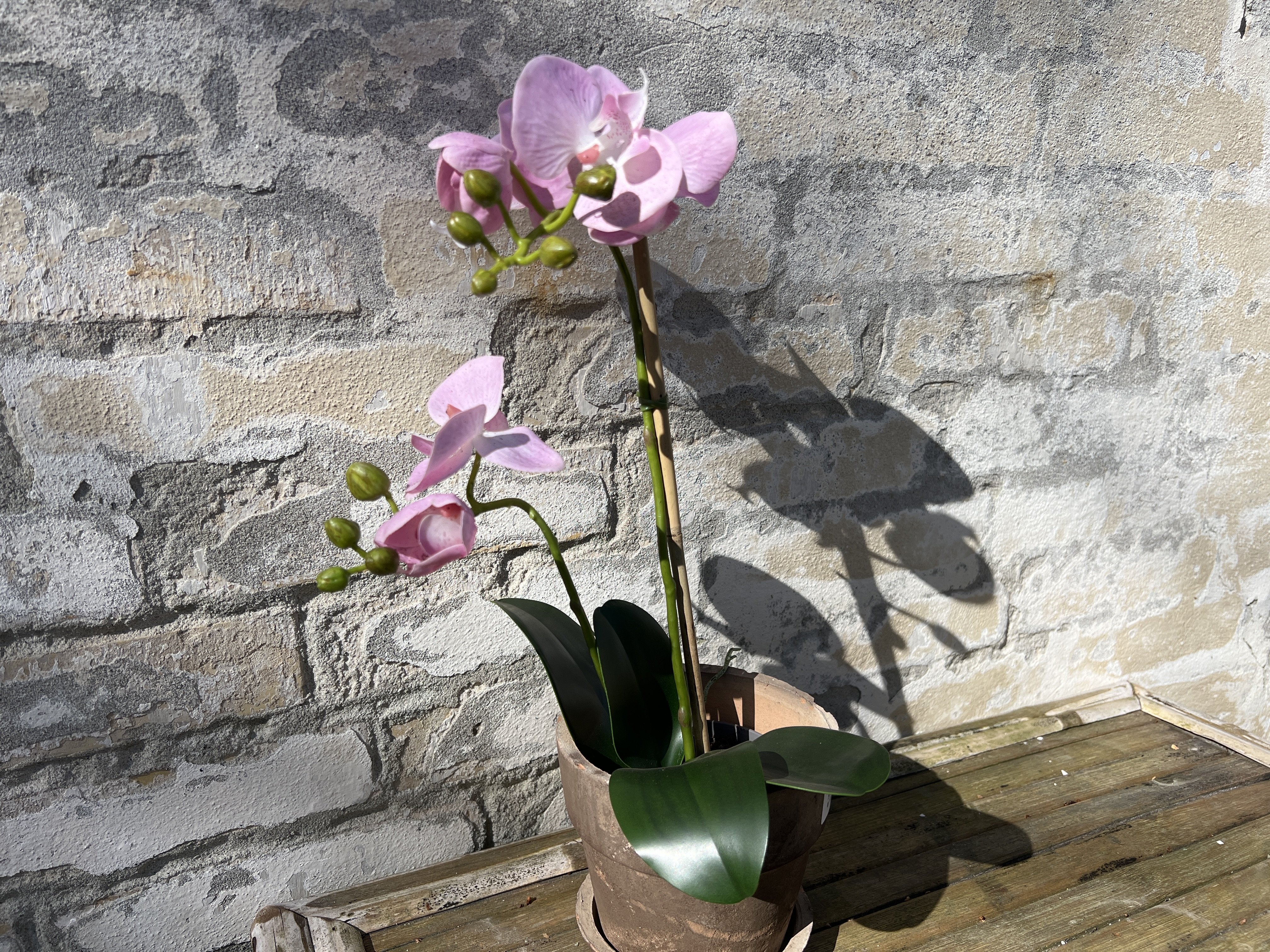 Mr Plant, Kunstig orkid�, Phalaenopsis, H45 cm, Pink