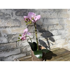 Mr Plant, Kunstig orkid�, Phalaenopsis, H45 cm, Pink