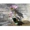 Mr Plant, Kunstig orkid�, Phalaenopsis, H45 cm, Pink