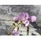 Mr Plant, Kunstig orkid�, Phalaenopsis, H45 cm, Pink