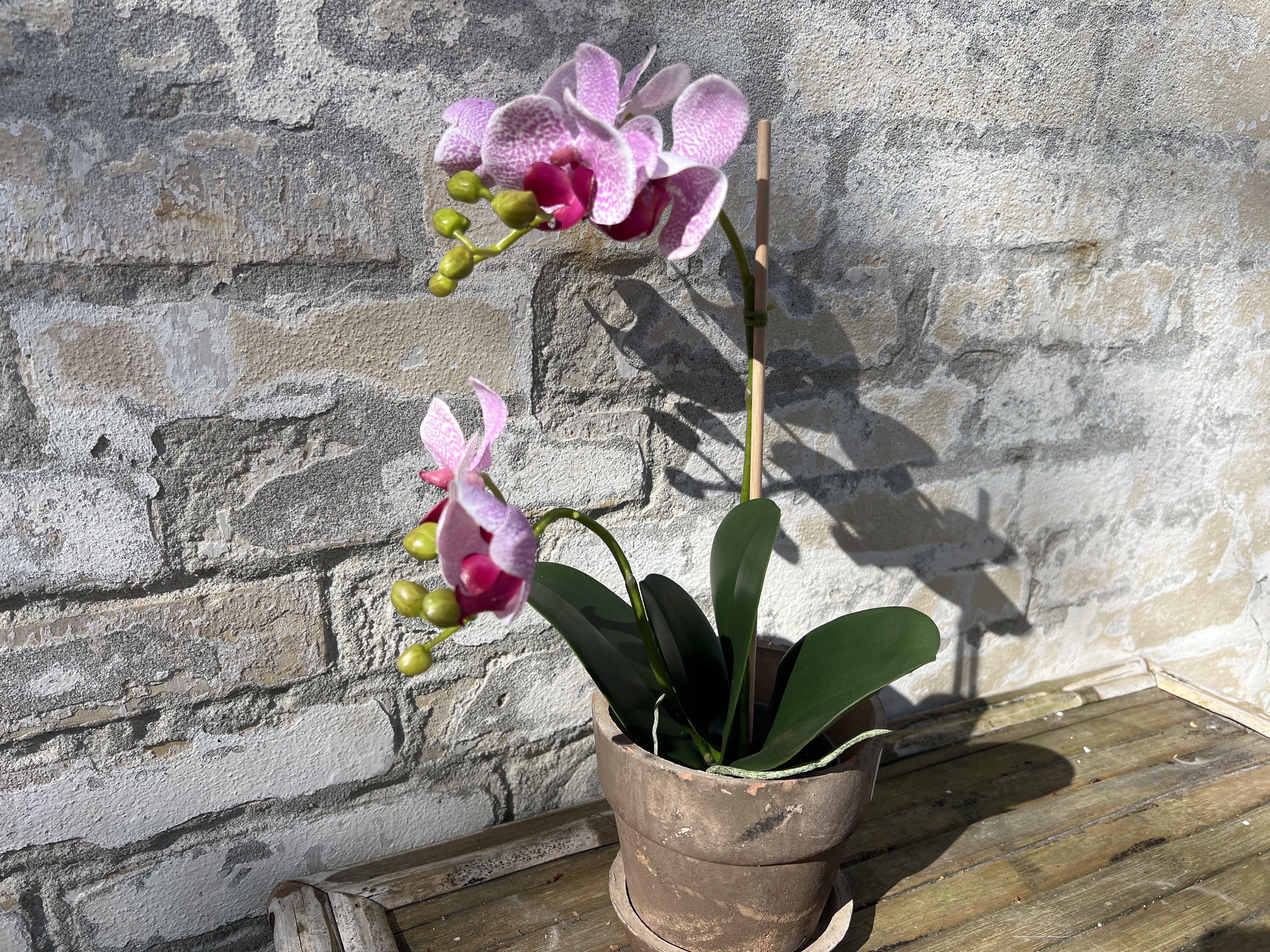 Mr Plant, Kunstig orkid�, Phalaenopsis, H45 cm, Lyser�d