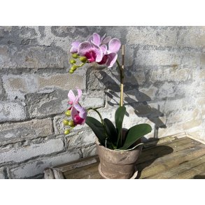 Mr Plant, Kunstig orkid�, Phalaenopsis, H45 cm, Lyser�d