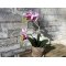 Mr Plant, Kunstig orkid�, Phalaenopsis, H45 cm, Lyser�d