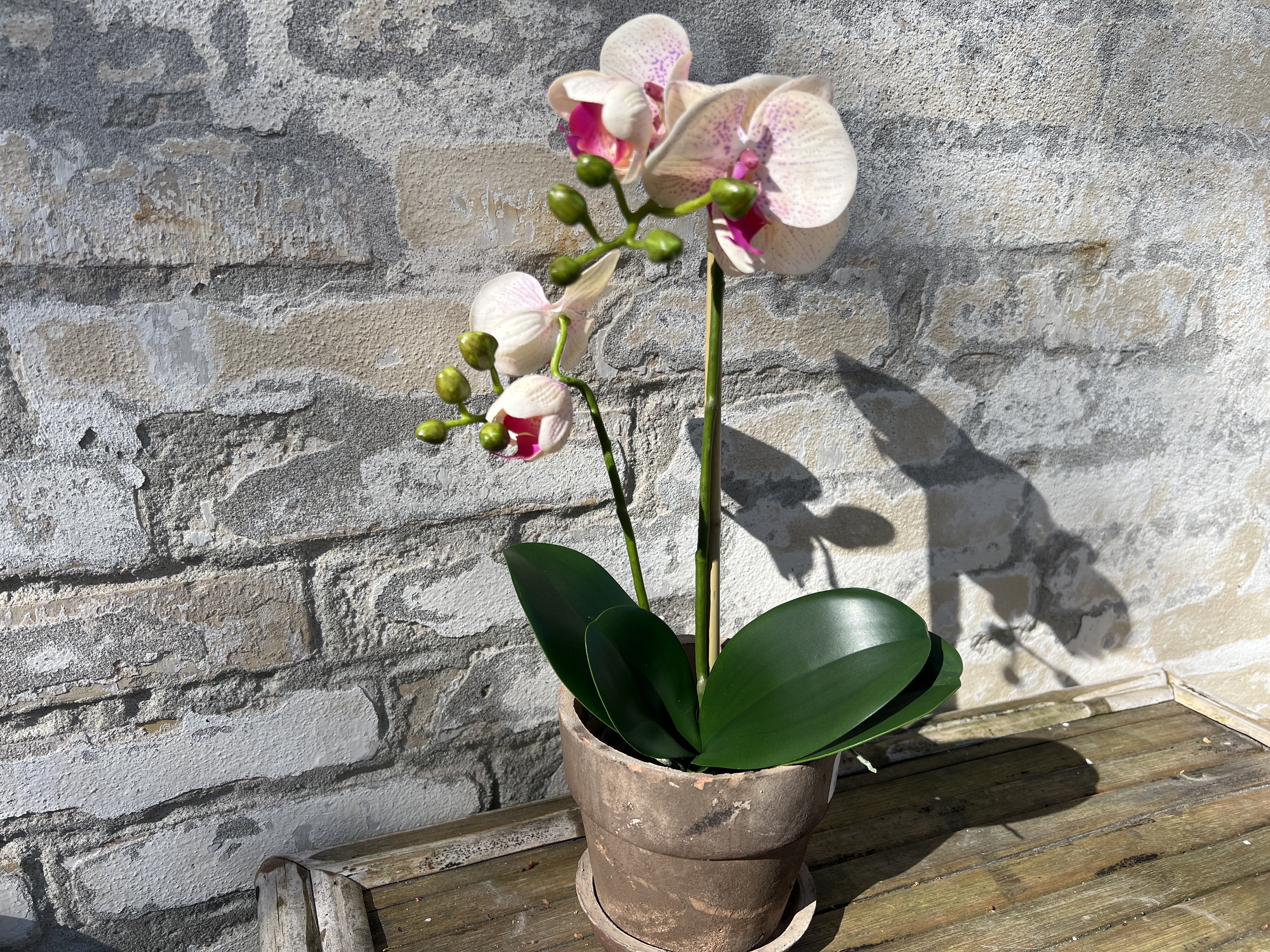 Mr Plant, Kunstig orkid�, Phalaenopsis, H45 cm, Gul