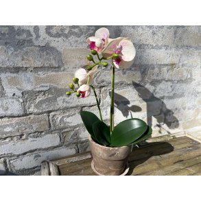 Mr Plant, Kunstig orkid�, Phalaenopsis, H45 cm, Gul