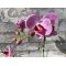 Mr Plant, Kunstig orkid�, Phalaenopsis, H45 cm, Dyb lyser�d