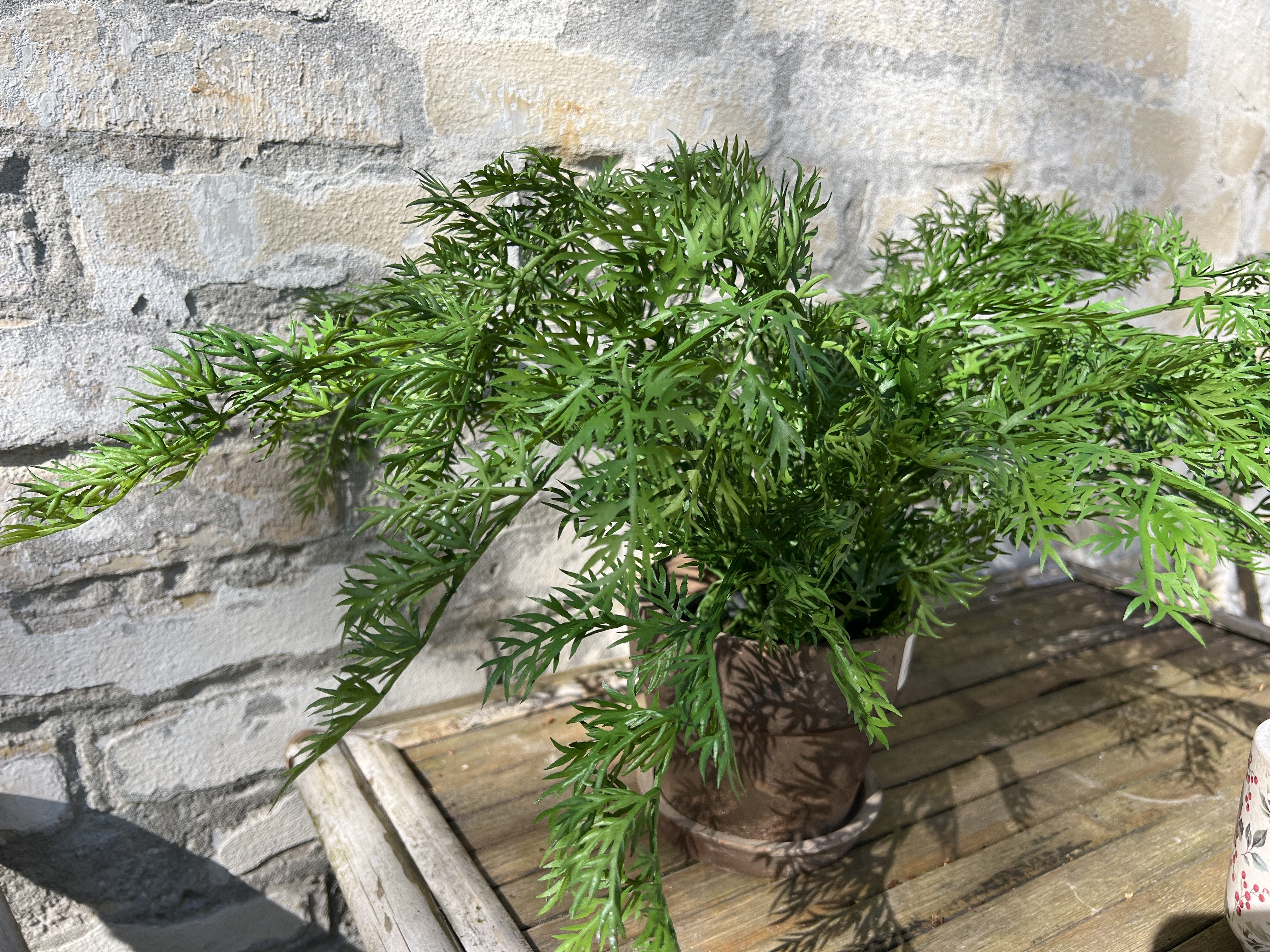 Mr Plant, Bregne