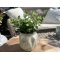 Chic Antique, Fyrfadsstage, antique hvid  