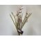 DEKO FLORALE, Buket med blomst/grs, 52 cm, lyserd